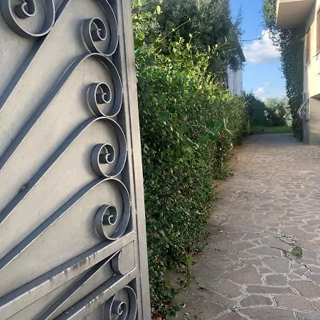 Maximo * Albano Laziale
